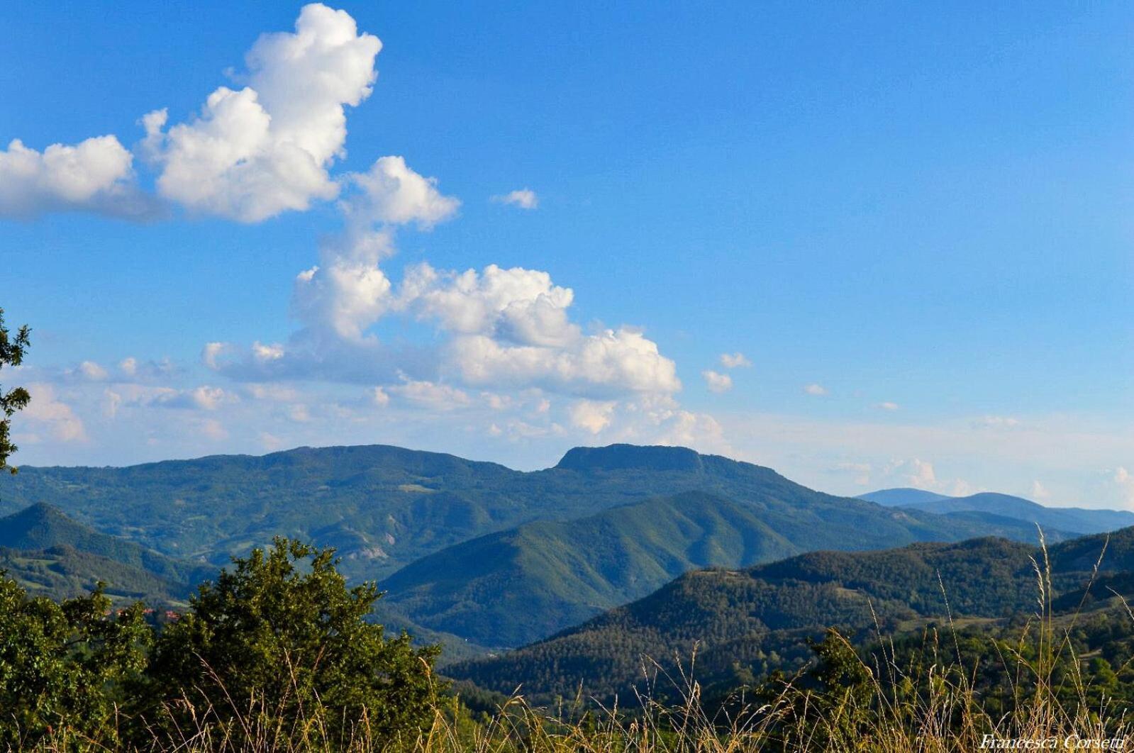 Agriturismo Vezzano คิวซี เดลลา แวร์นา ภายนอก รูปภาพ