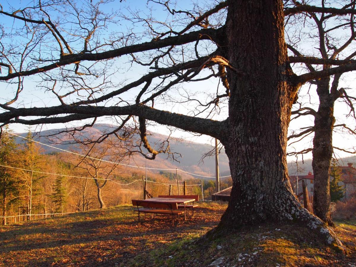 Agriturismo Vezzano คิวซี เดลลา แวร์นา ภายนอก รูปภาพ