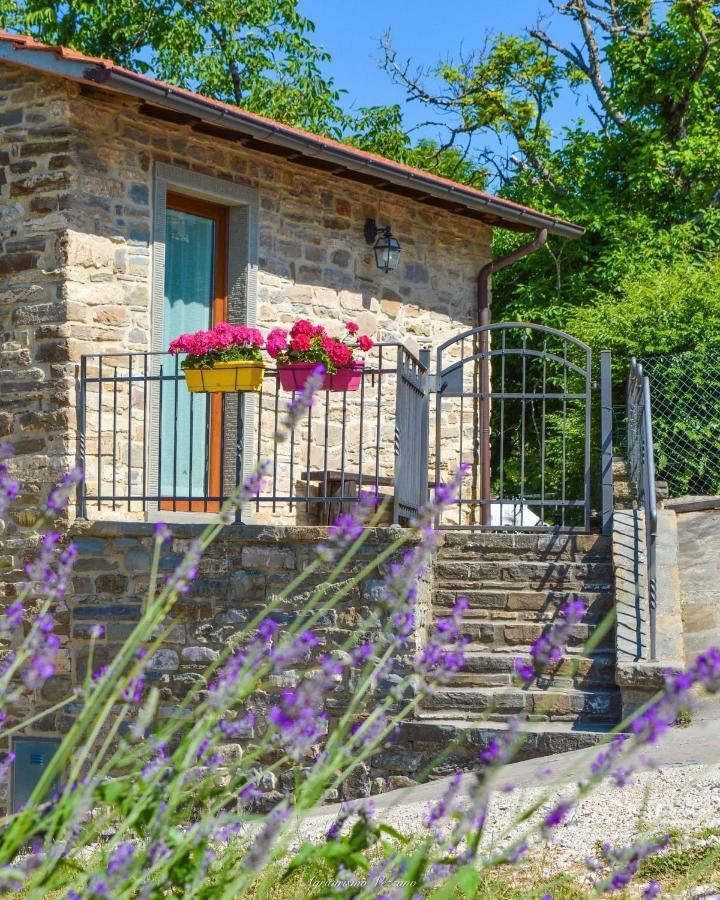 Agriturismo Vezzano คิวซี เดลลา แวร์นา ภายนอก รูปภาพ