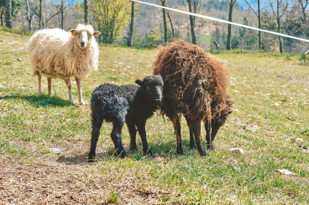 Agriturismo Vezzano คิวซี เดลลา แวร์นา ภายนอก รูปภาพ